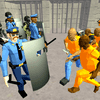 Simulator de luptă – Închisoare de poliție